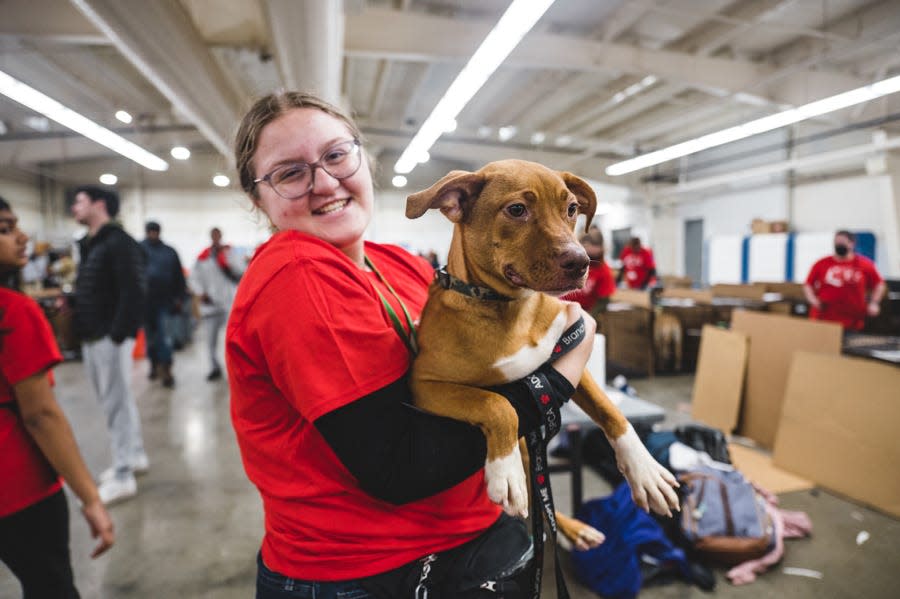 The Brandywine Valley SPCA will be hosting a Mega Adoption Event on Dec. 9 and Dec. 10, 2023, where nearly 2,500 animals will be available for $35 each across 16 participating locations, 15 of which are located in Delaware, New Jersey, Pennsylvania and Maryland.