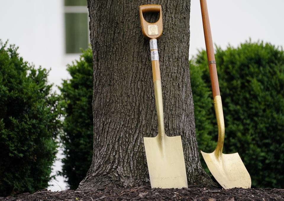 Placards with the seal of the President of the United States mark a shovel used in past White House tree planting ceremonies before first lady Jill Biden holds an Arbor Day tree planting ceremony at the White House, Friday, April 30, 2021, in Washington. (AP Photo/Evan Vucci)
