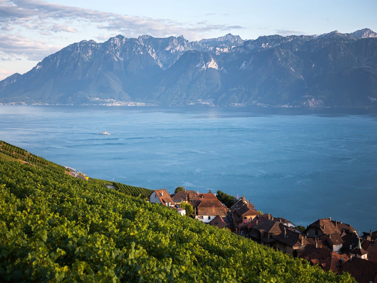 Montreux’s landscape is packed with vineyards (Getty/iStock)