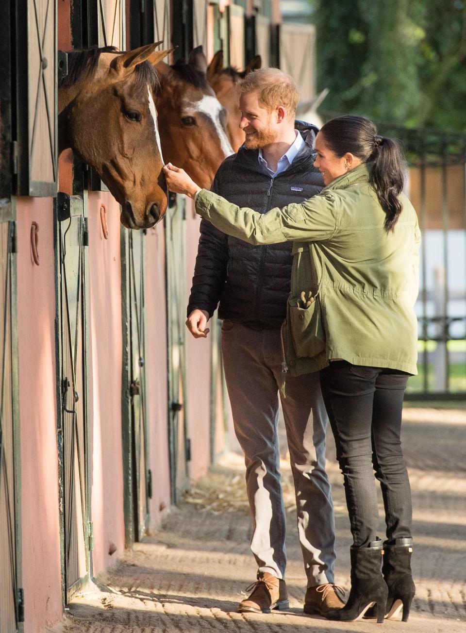 <p>Harry and Meghan pet horses during a visit to the Moroccan Royal Federation of Equestrian Sports. </p>