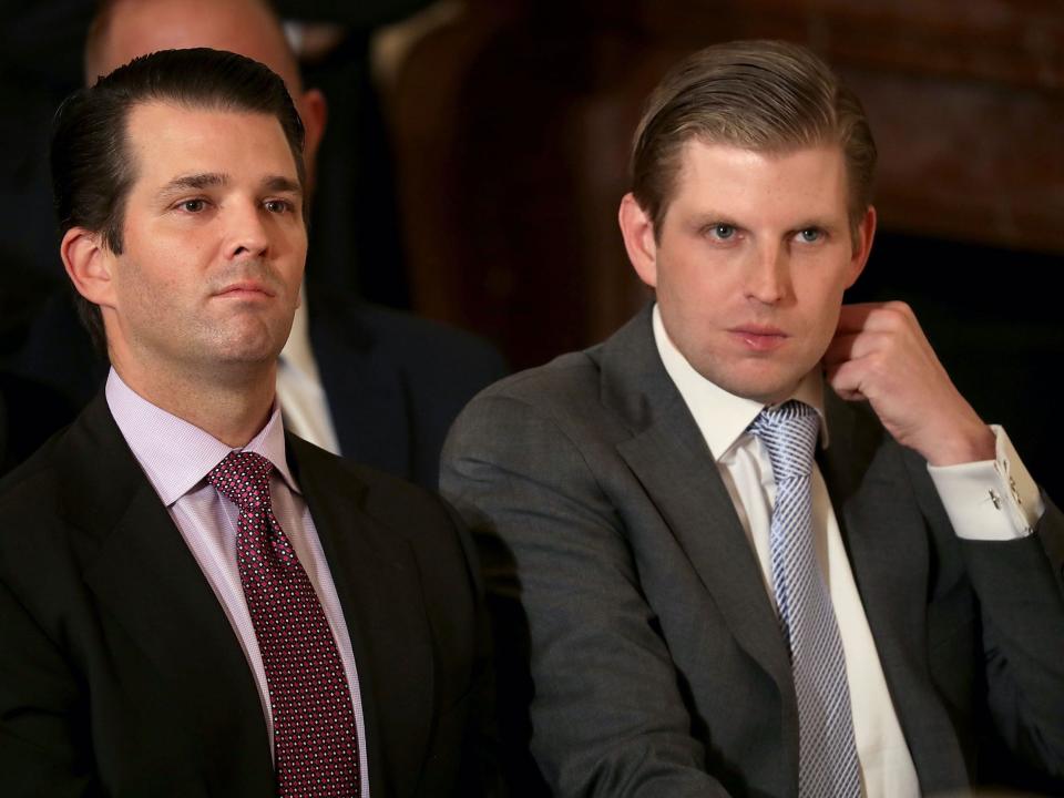 Donald Trump Jr. and Eric Trump sit next to each other.