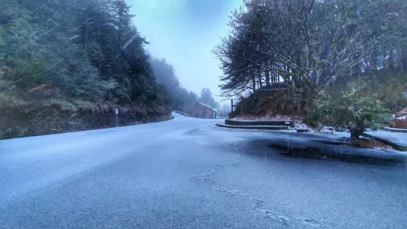 ▲台中市大雪山已降下瑞雪，白茫茫美景讓人超想衝一波。（圖／翻攝大雪山國家森林遊樂區臉書，2024.01.23）