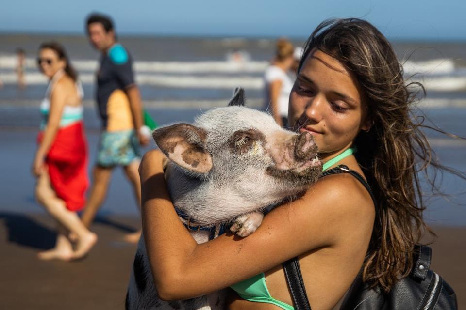 Chanchi duerme en el cuarto con Luciana, que es vegetariana y logró que su familia dejara de consumir carne de cerdo