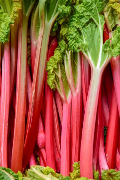 close up of rhubarb plants on display in a basket at a food market