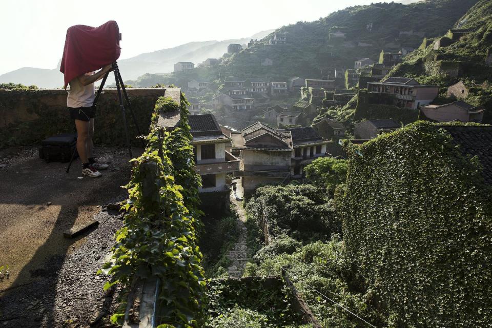 Wider Image: Creeping Vines, Abandoned Village