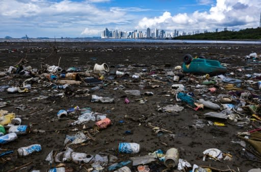 The coalition's volunteers collected nearly half a million pieces of plastic waste during a coordinated 'World Clean Up Day'