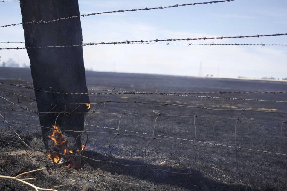 A fence smolders after a fast-moving grass fire burned Sunday, June 16, 2024, in an area of southeast Sacramento County. The Excelsior Fire burned more than 800 acres and destroyed at least two outbuildings along Jackson Road.