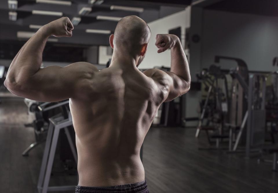 back muscles of a man at gym