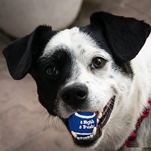 17) Rite Lite Hanukkah Dog Toy Tennis Balls Set of 3 - Perfect Chanukah Gift for Dog Owners, Decorations, Jewish Holiday Party Favors, Goodie Bag Rewards, Accessories Jewish Gifts Festival of Lights