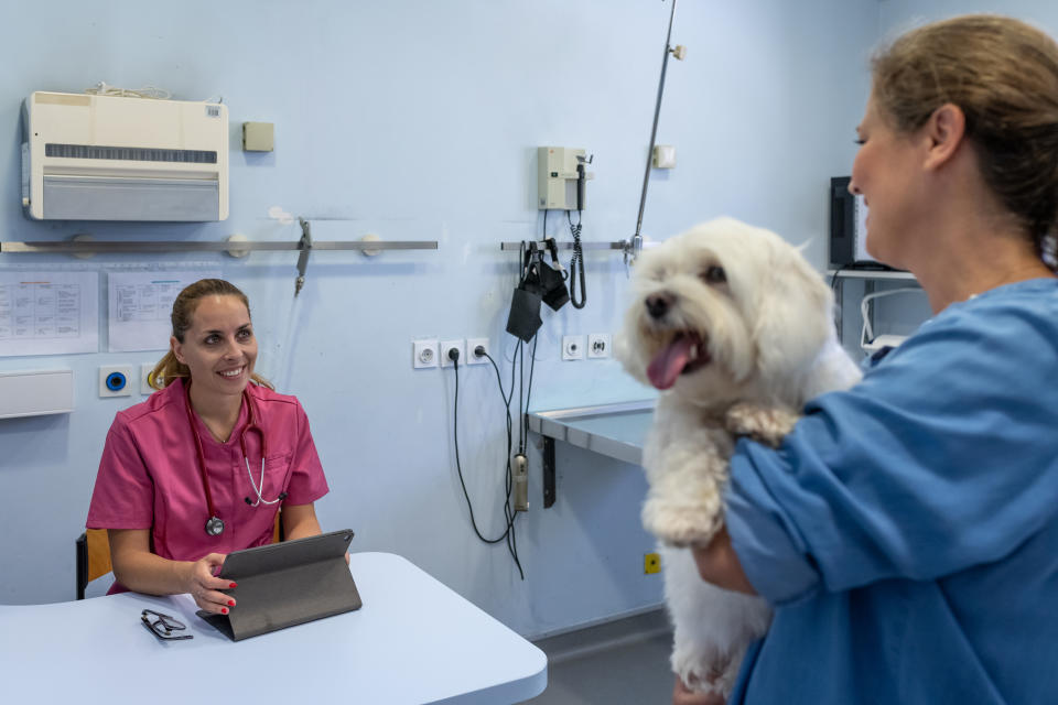 A veterinarian in pink scrubs sits at a desk with a tablet, talking to a woman holding a fluffy white dog in a veterinary clinic