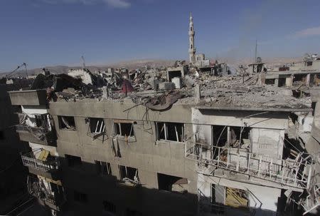 A general view of the destruction after what activists said were at least 20 air strikes by forces loyal to Syria's President Bashar al-Assad in the Douma neighbourhood of Damascus February 5, 2015. REUTERS/ Mohammed Badra