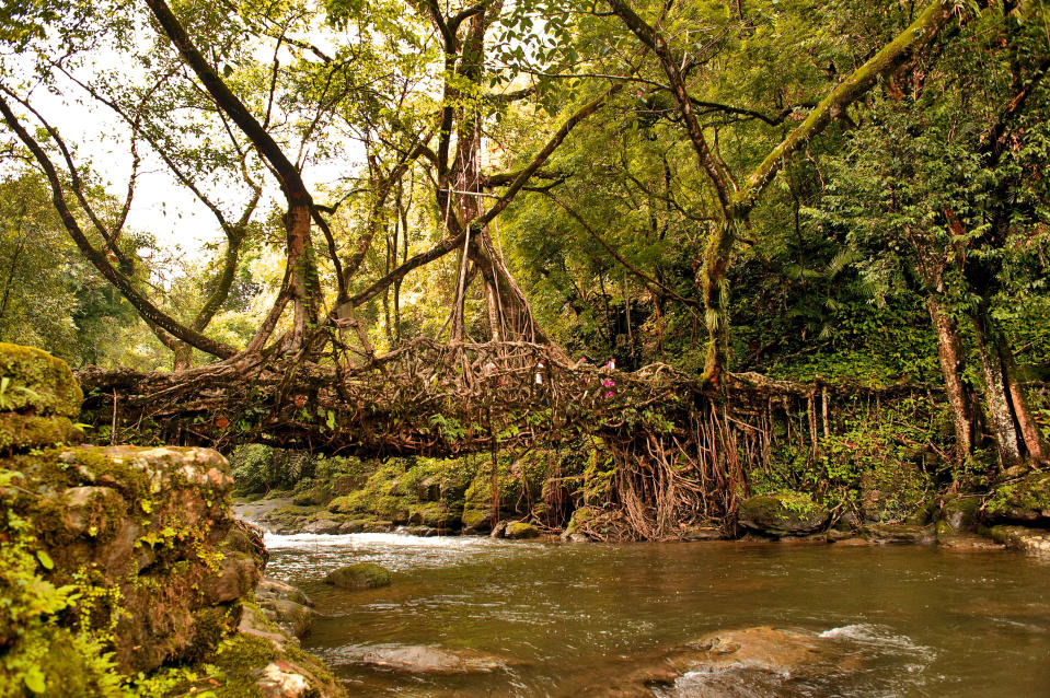 Meghalaya: