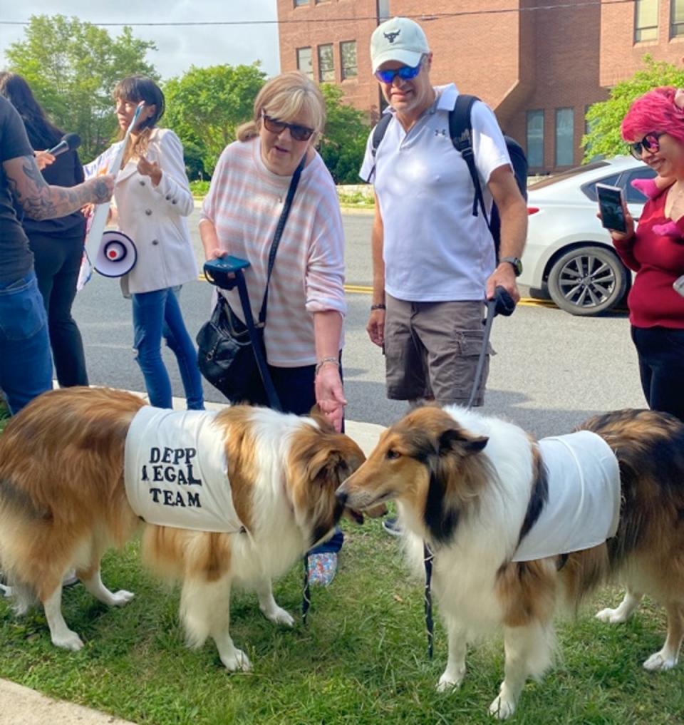 Robin and Randy Naler dressed their dogs as ‘Depp legal team’ (The Independent)