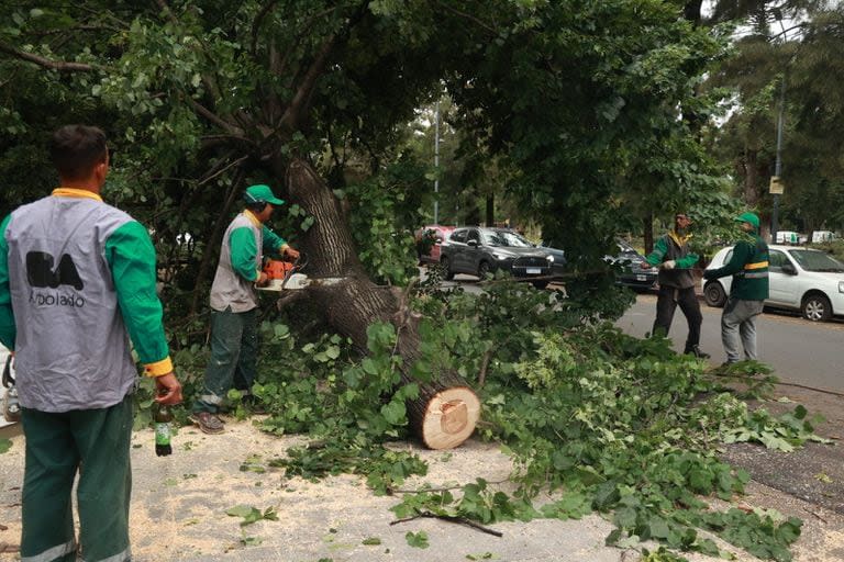 Hasta hoy se recibieron casi 7000 llamados de asistencia en los barrios; la mayoría fue por ramas o árboles caídos que están siendo retirados