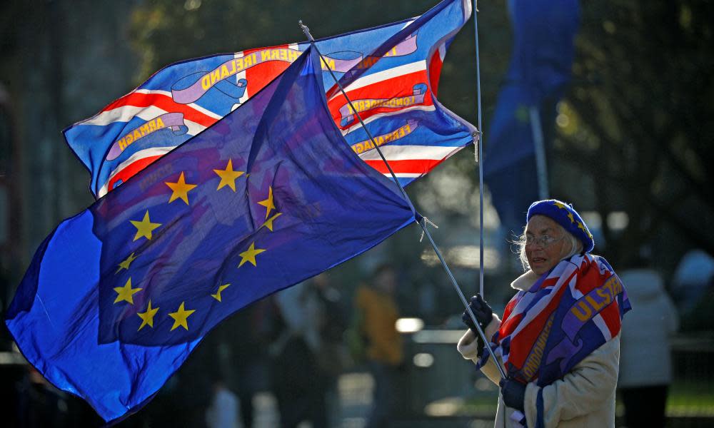 A pro-EU supporter outside the Houses of Parliament on 13 December.