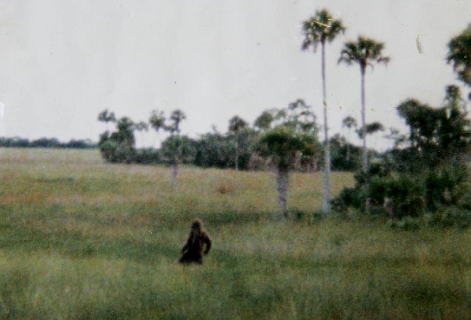 Una imagen del mono Mofeta en la década de 1990 de Dave Shealy. Archivo del Miami Herald