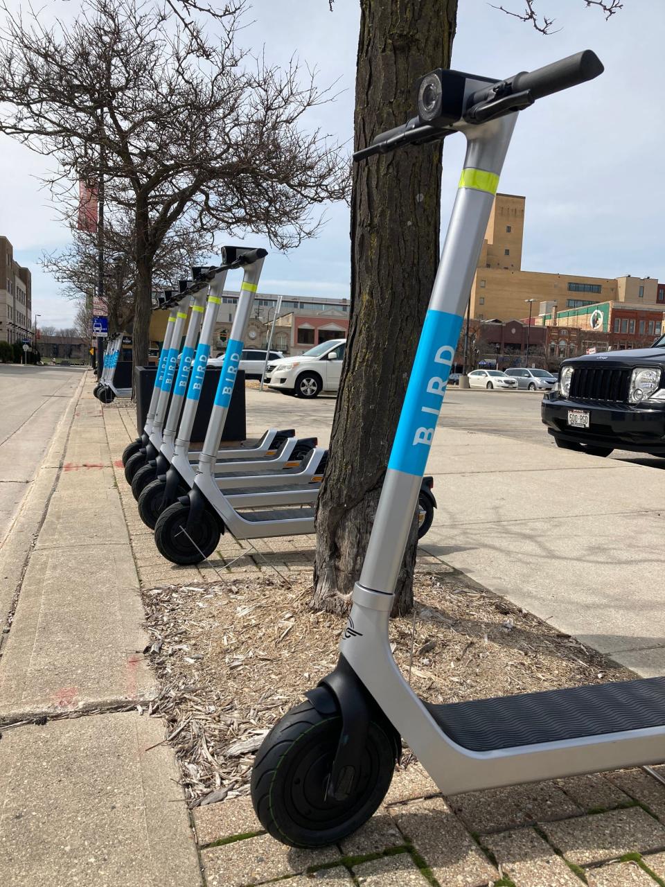 Bird scooters lined up on Cherry Street.