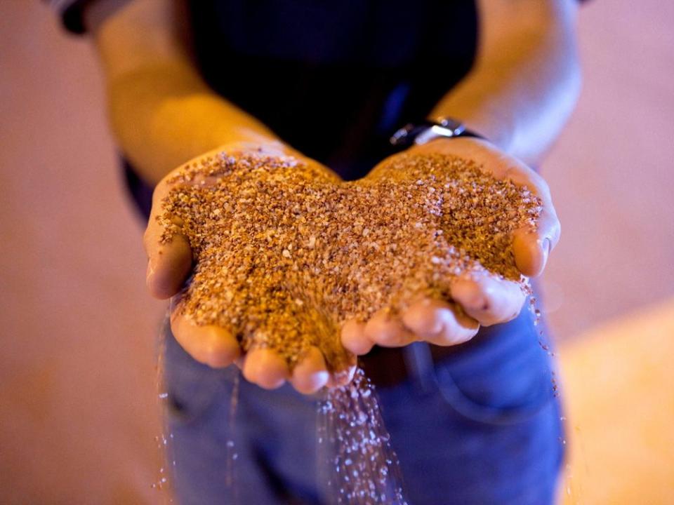 FILE PHOTO: File picture of mill manager holding processed potash