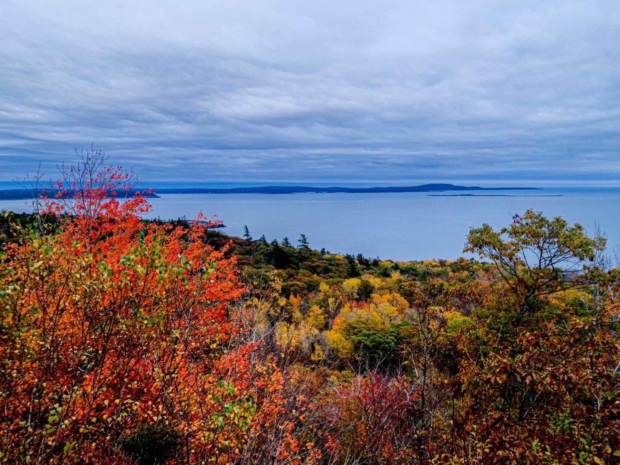 A view of the ocean and fall foliage from a trail in Acadia National Park, Maine, in October 2021.