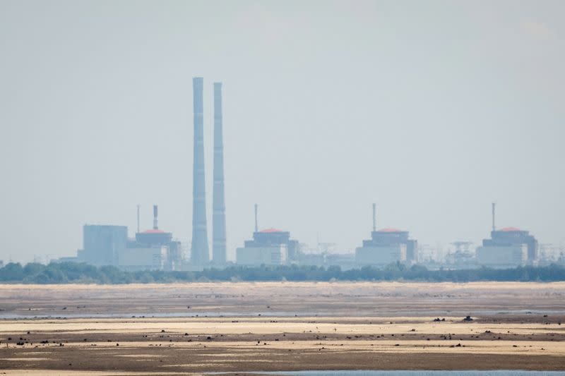 FILE PHOTO: View shows Zaporizhzhia Nuclear Power Plant from the bank of Kakhovka Reservoir in Nikopol