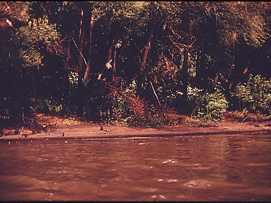 SCENE SHOWING THE HIGH WATER MARK WHICH REVEALS EVIDENCE OF TREES BEING COATED BY OIL ALONG THE SHORE OF THE OHIO RIVER NEAR PITTSBURGH, PENNSYLVANIA. BOOMS HAVE BEEN PLACED NEAR VARIOUS OUTFALLS TO TRAP POLLUTION WITH OIL ACIDITY CONTENT AND LOW PH