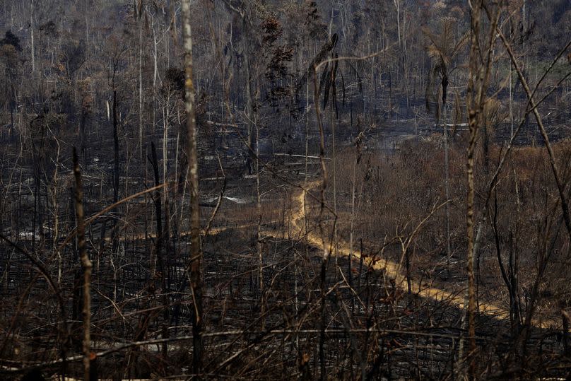 AP Photo/Eraldo Peres