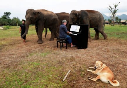 British volunteer Paul Barton plays piano for sick, abused, retired and rescued elephants in sanctuary along Thailand-Myanmar border in Kanchanaburi, Thailand, December 9, 2018. REUTERS/Soe Zeya Tun