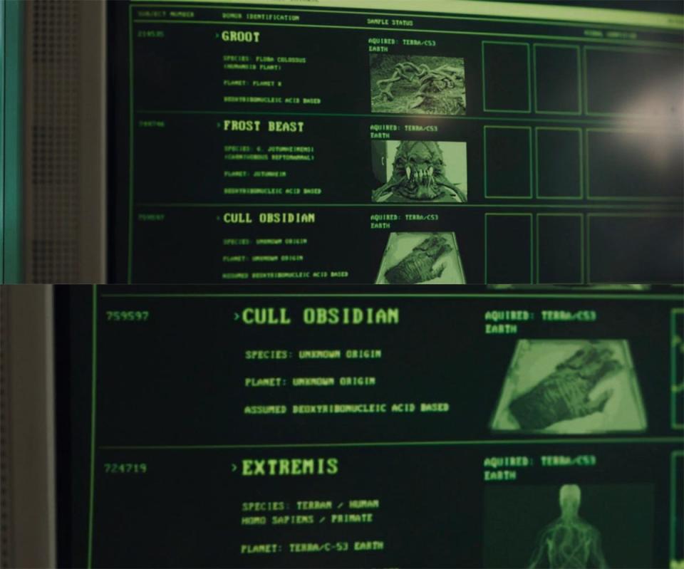 Genetics information seen on a computer in season one, episode two of "Secret Invasion."