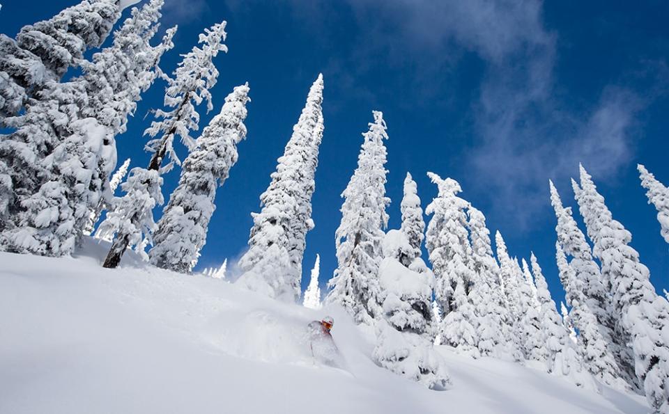 powder skiing - Mike Wiegele Helicopter Skiing