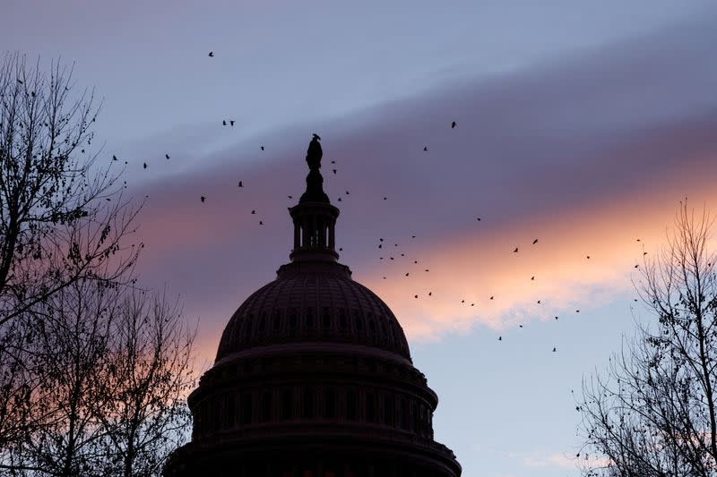 FILE PHOTO: The dome of the U.S. Capitol at dawn in Washington