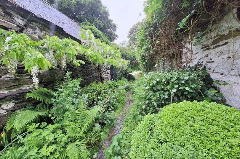 Preds said he'd had a small inkling Reg and George wanted to leave the house to them while gardening with Reg -Credit:Jonathon Hill/Media Wales