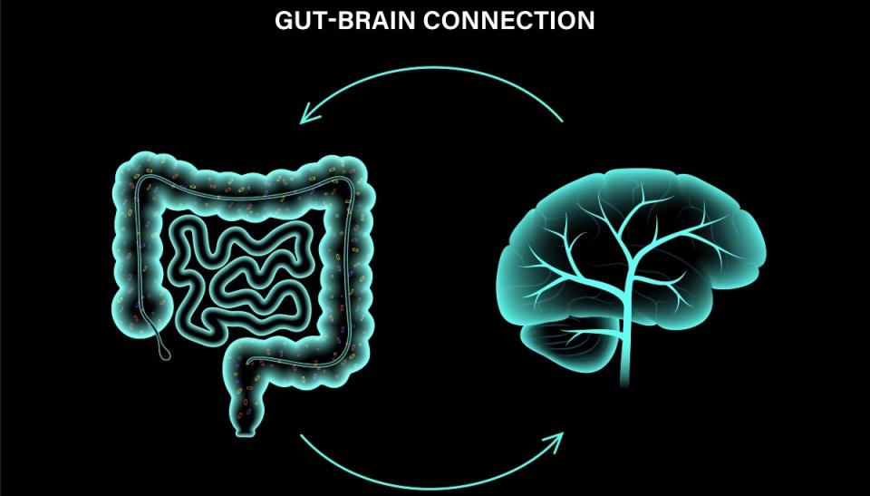 An illustration of the gut-brain axis, which can be 