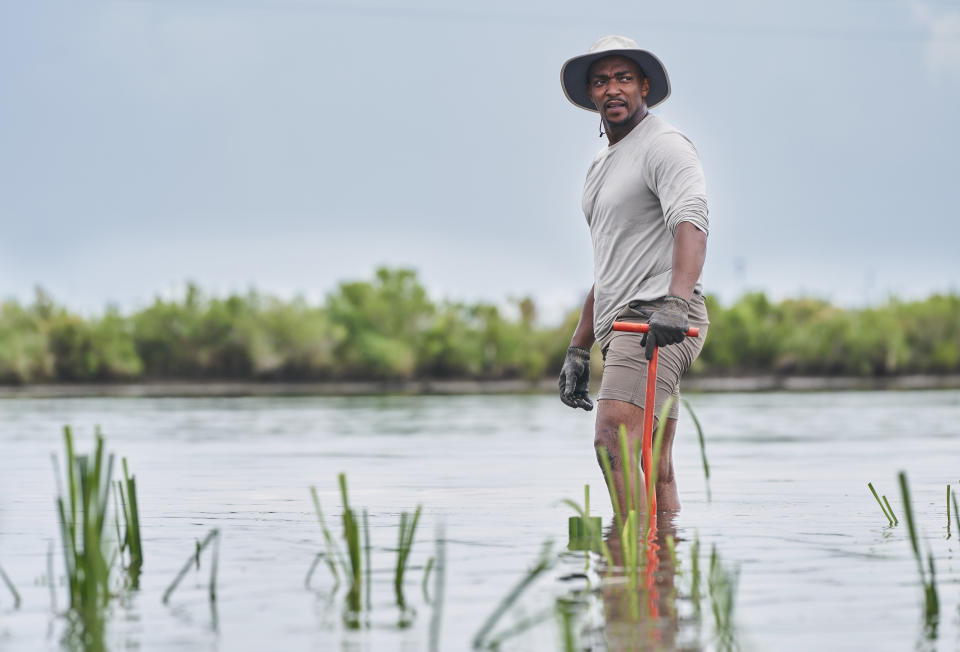 This image released by National Geographic shows actor/host Anthony Mackie wading in the Bayous near Violet, La., during the filming of "Shark Beach with Anthony Mackie." (Brian Roedel/National Geographic via AP)