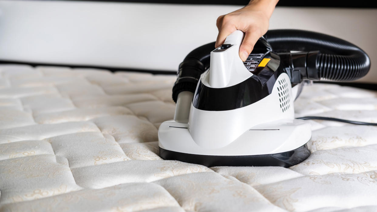  carpet cleaner on mattress 