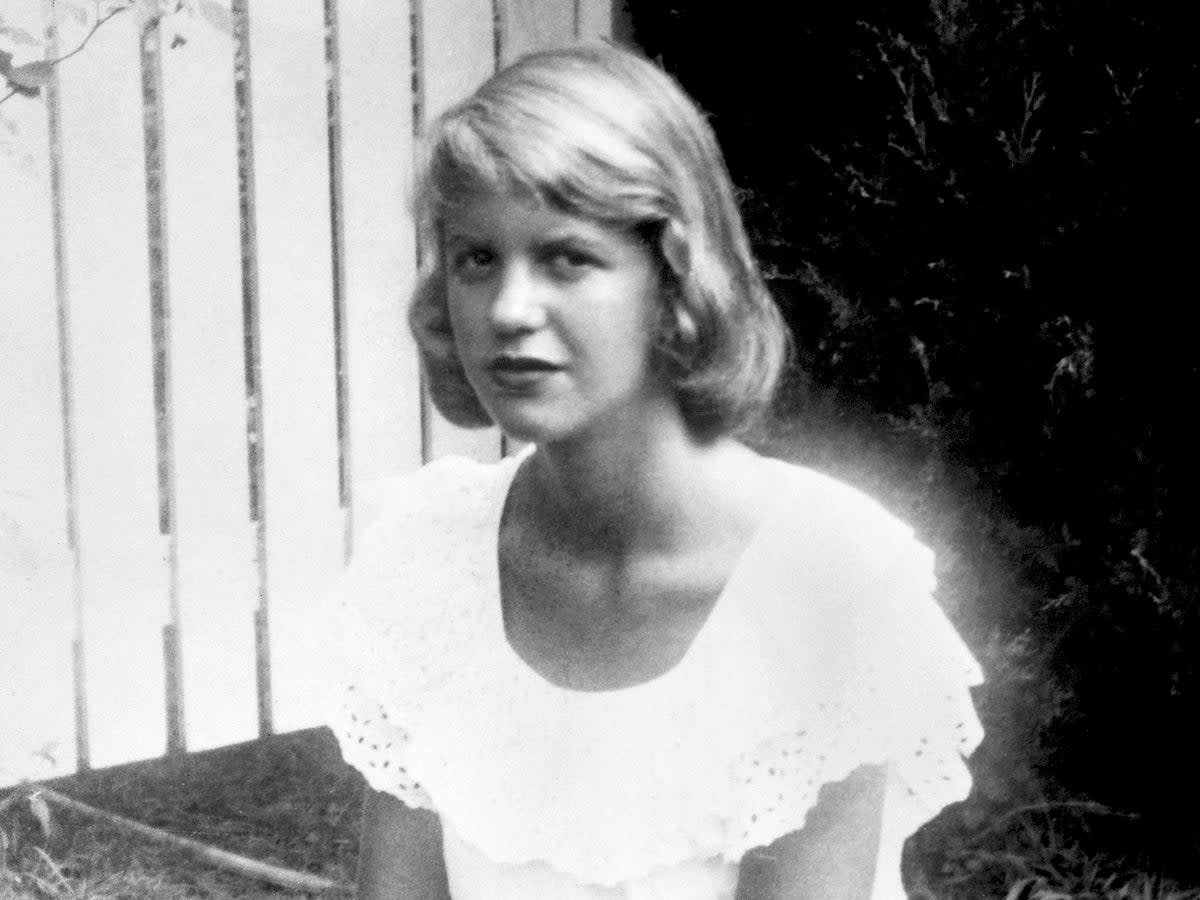 In thinking differently about Sylvia Plath’s legacy, we’ll find hazards along the way (Shutterstock)