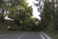 A fallen tree blocks the road along the Via Ardeatina, in Rome, Saturday, Feb. 23, 2019. Winds gusting to 50 kilometers (32 miles) per hour have toppled trees and walls in Italy, causing at least 3 deaths. Italian news agency ANSA said Saturday winds knocked down a brick wall on farmland near Frosinone, central Italy, killing two men in their 70s. (AP Photo/Fabio Polimeni)