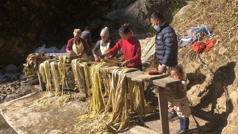 Farmers process the bark of the paper bush in Kathmandu, Nepal, in 2023. - Tadashi Matsubara