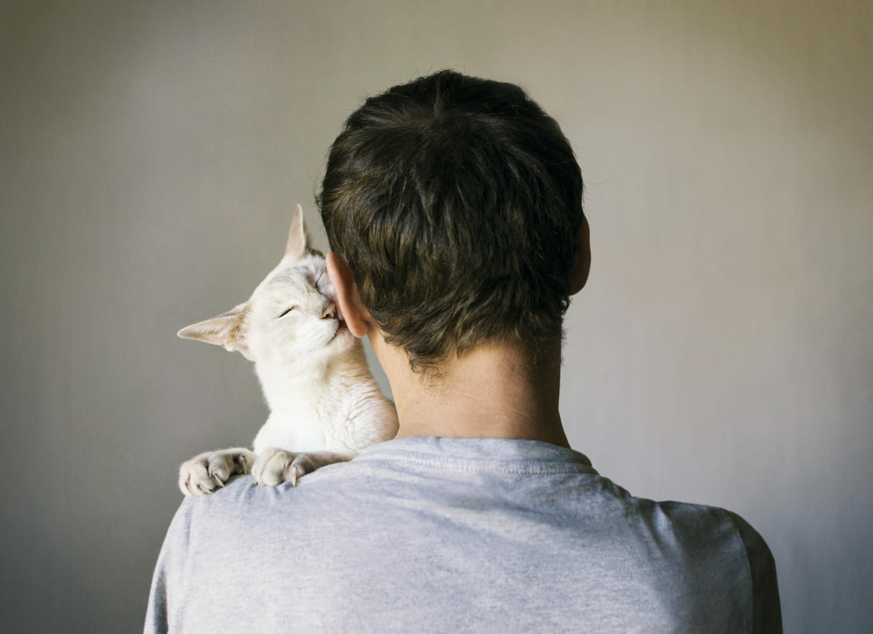 Women aren't interested in men with cats, apparently. (Getty Images)