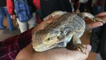 Public to have its say about use of exotic animals for education in Toronto