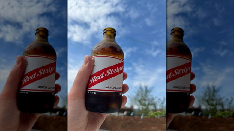 Red Stripe stubby bottle