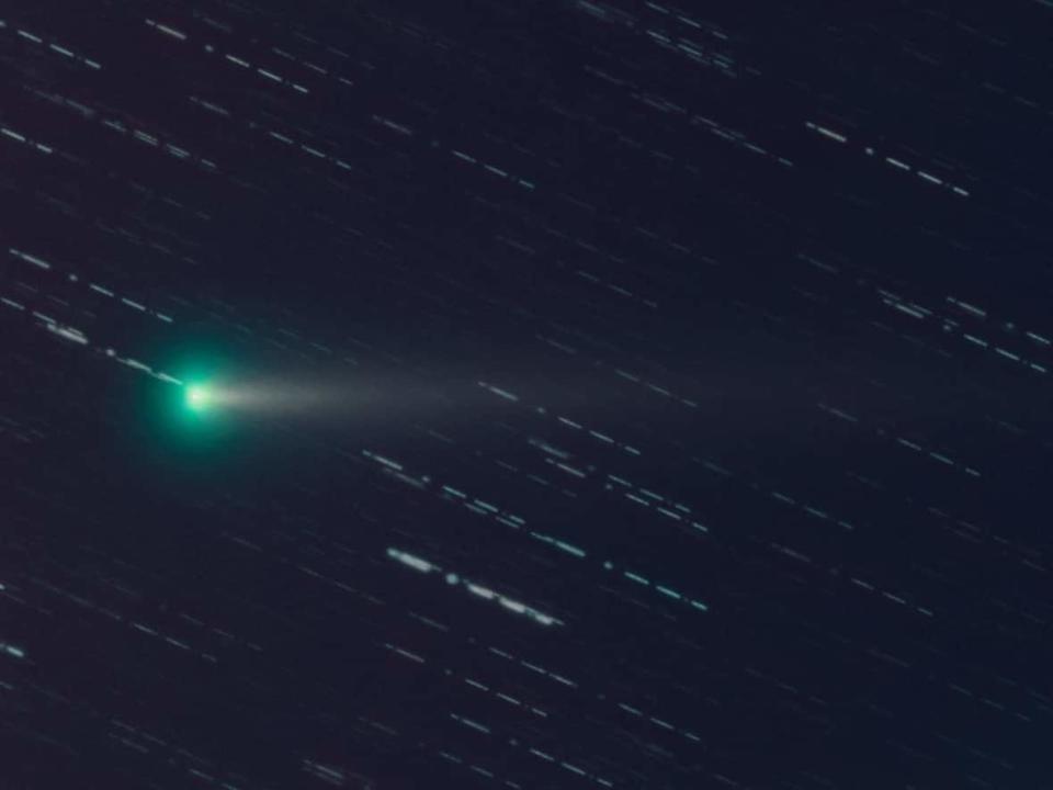 Rens de Waard, an astrophotographer in the Netherlands, captured this photo of Comet Leonard Tuesday using a RedCat 51 telescope and a Nikon DSLR camera. He runs the @Comet2021a1 Twitter account, which aims to provide information about the comet. (Rens de Waard - image credit)