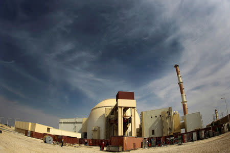 FILE PHOTO: A general view of the Bushehr nuclear power plant, some 1,200 km (746 miles) south of Tehran October 26, 2010. REUTERS/IRNA/Mohammad Babaie/File Photo