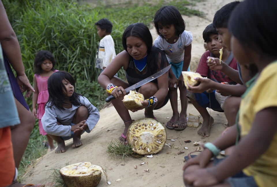 Una mujer guaraní corta una yaca en la aldea Sapukai del estado de Río de Janeiro el 30 de noviembre del 2020. (AP Photo/Silvia Izquierdo)