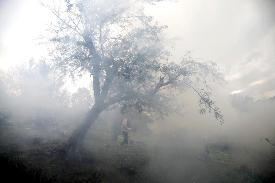 Smoke from burning olive twigs obscures workers in an olive grove in Kalo Pedi village, about 335 kilometers (210 miles) west of Athens, Greece on Monday, Dec. 2, 2013. Traditionally, trees are trimmed and the twigs are burned at the start of spring, but many people who are based in the big cities burn the twigs after harvest to avoid another trip to the grove in March. (AP Photo/Petros Giannakouris)