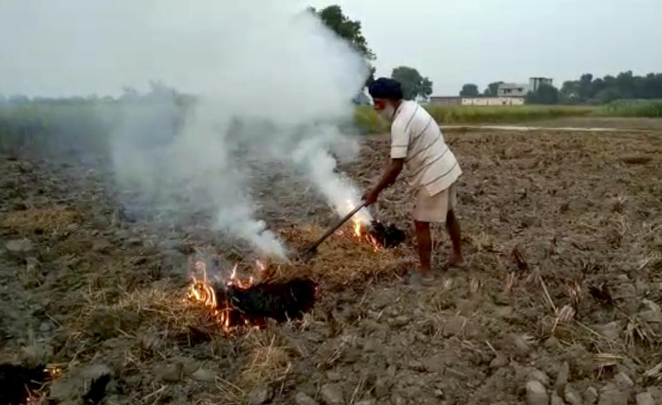 This Oct. 14, 2019 frame from video shows a farmer burning paddy stubble in a field in Amritsar, India, Wednesday, Oct. 16, 2019. The Indian capital's air quality levels have plunged to "poor," a day after the government initiated stricter measures to fight chronic air pollution. The state-run Central Pollution Control Board's air quality index for New Delhi stood at 299 on Wednesday, about six times the recommended level. (AP Photo)