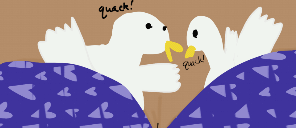 Two quacking ducks in a bra.
