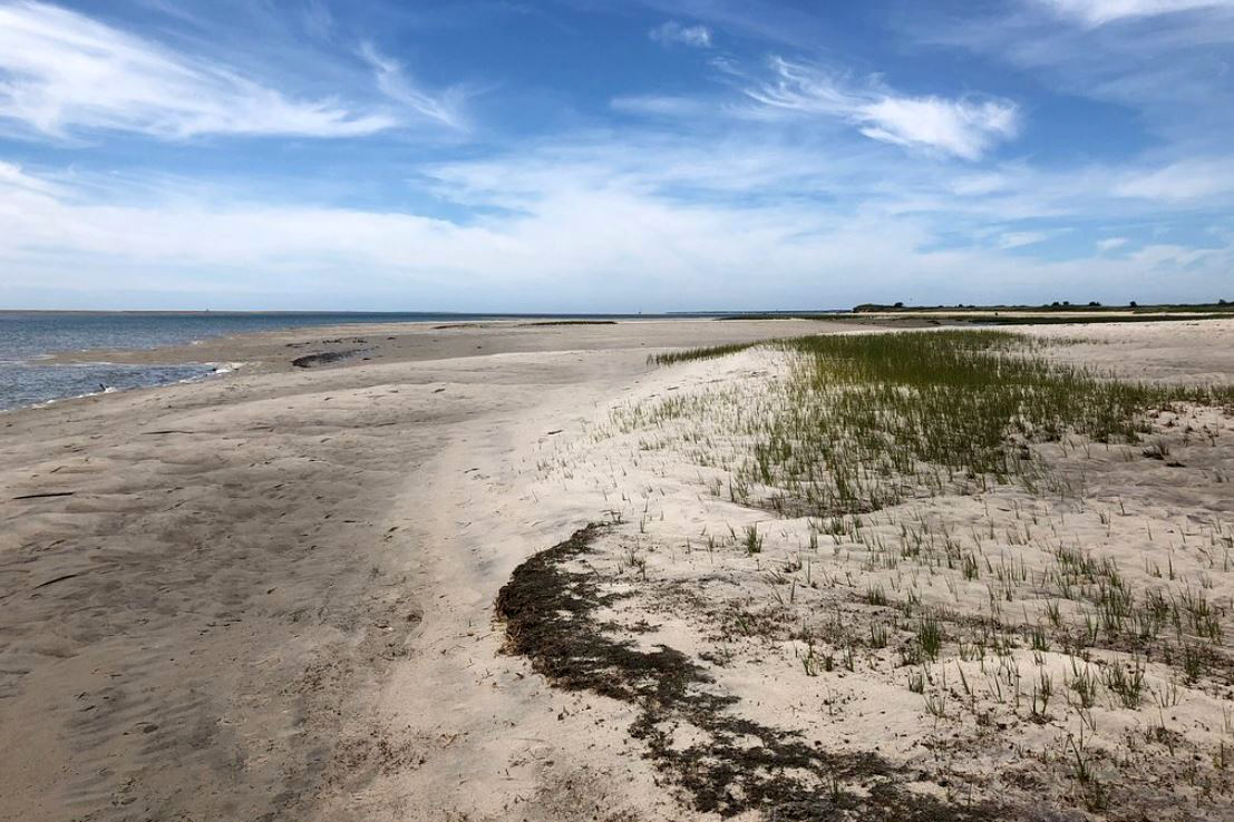 Monomoy National Wildlife Refuge