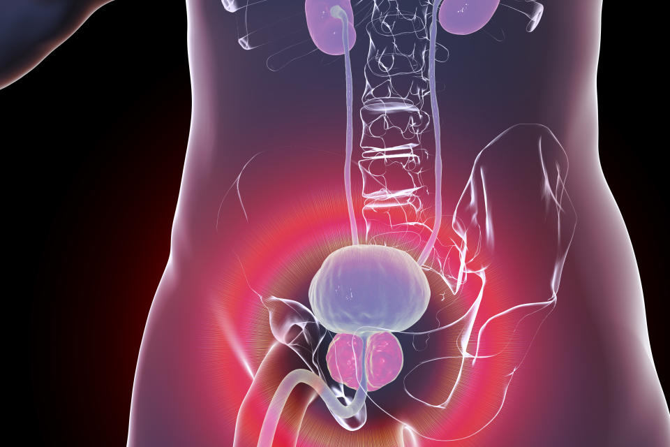 An enlarged prostate can press or partially block the urethra, causing issues with urination for some men. (Photo via Getty Images)