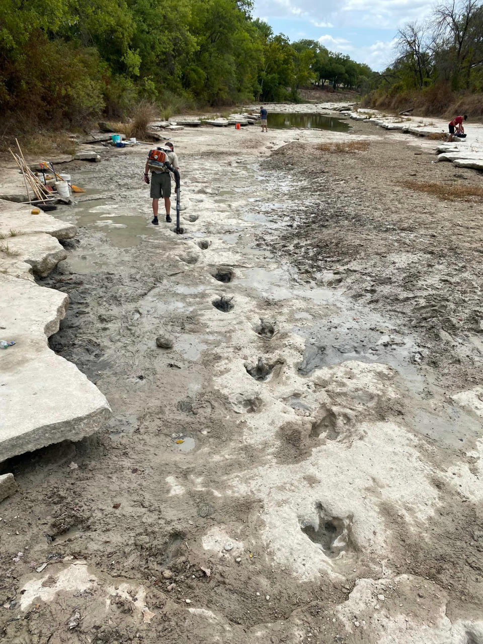 Las graves condiciones de sequía en el Parque Estatal del Valle de los Dinosaurios, en Texas, dejaron al descubierto huellas de dinosaurios que antes estaban ocultas bajo el río Paluxy. (Parque Estatal del Valle de los Dinosaurios vía The New York Times).