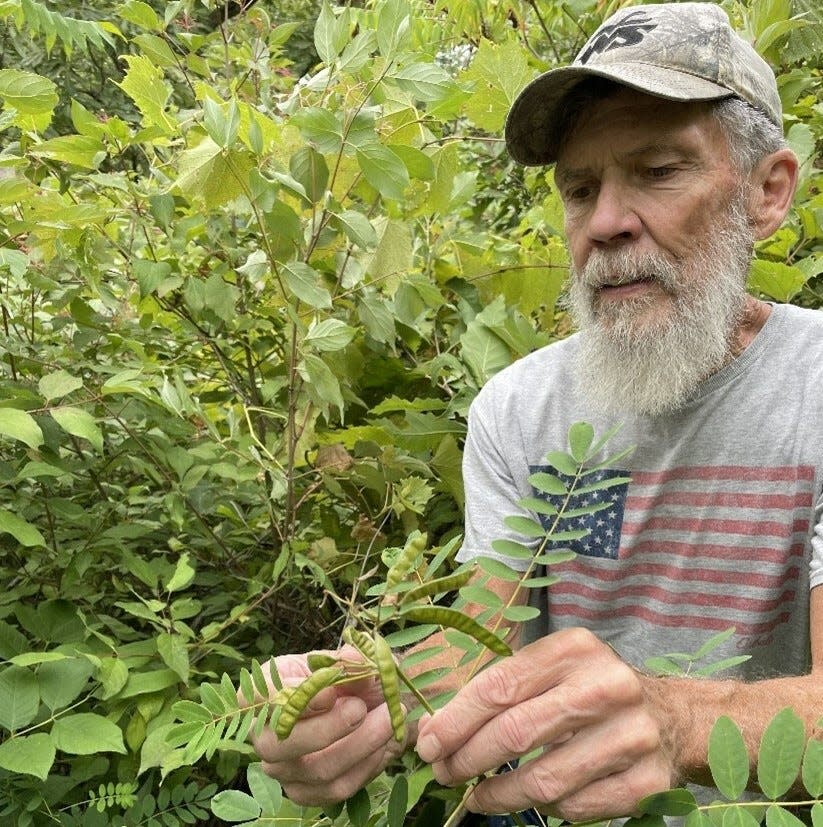 George Riggin, a volunteer with the DNR's Rare Plant Monitoring Program, poses with a Maryland senna plant he and DNR habitat biologist Bridget Rathman found in 2023 in southwestern Wisconsin. The plant had not been sighted in the state since 1911.